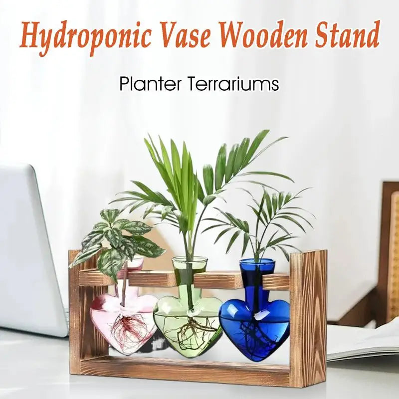 Glass Terrariums For Plants Plant Terrarium Heart Shape Glass Vase Flower Vase With Wooden Stand Tabletop Planter For