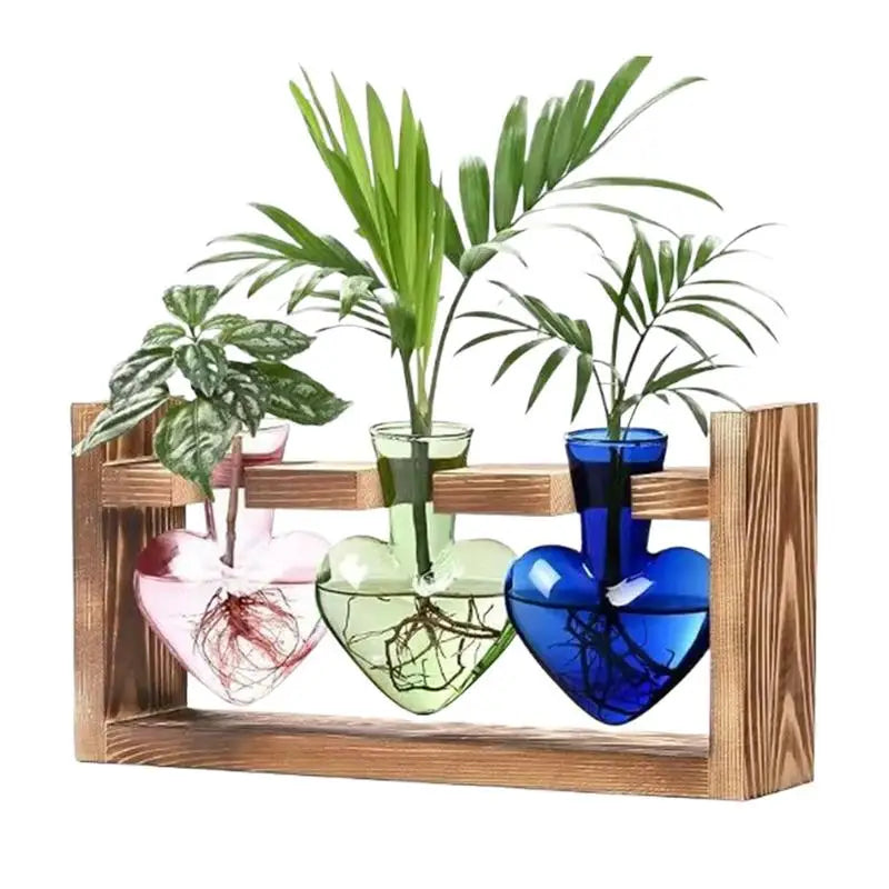 Glass Terrariums For Plants Plant Terrarium Heart Shape Glass Vase Flower Vase With Wooden Stand Tabletop Planter For